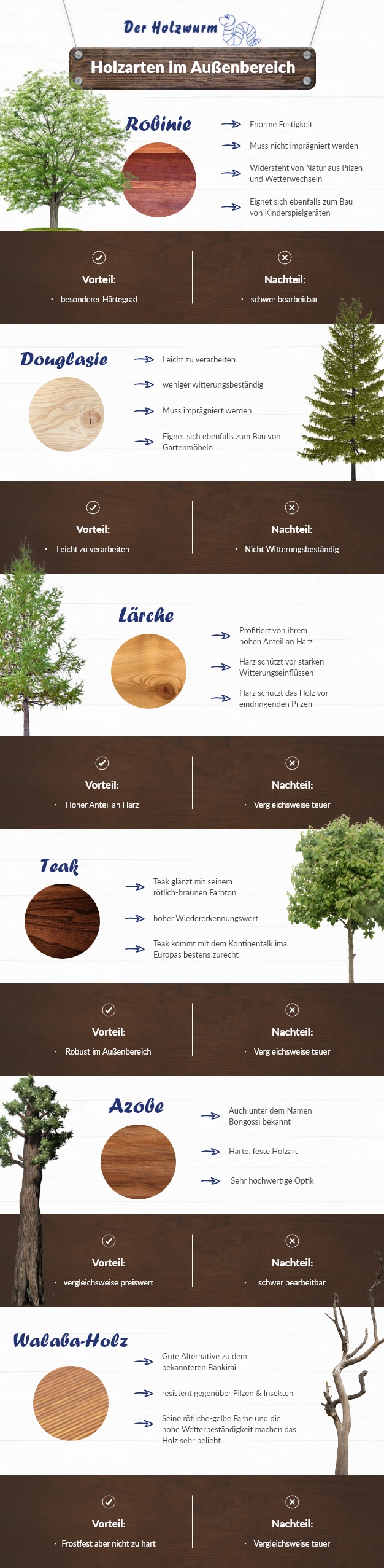 Infographik Holzarten im Außenbereich