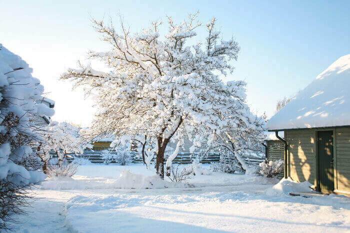 Verschneiter Garten und Schneelast auf dem Gartenhaus