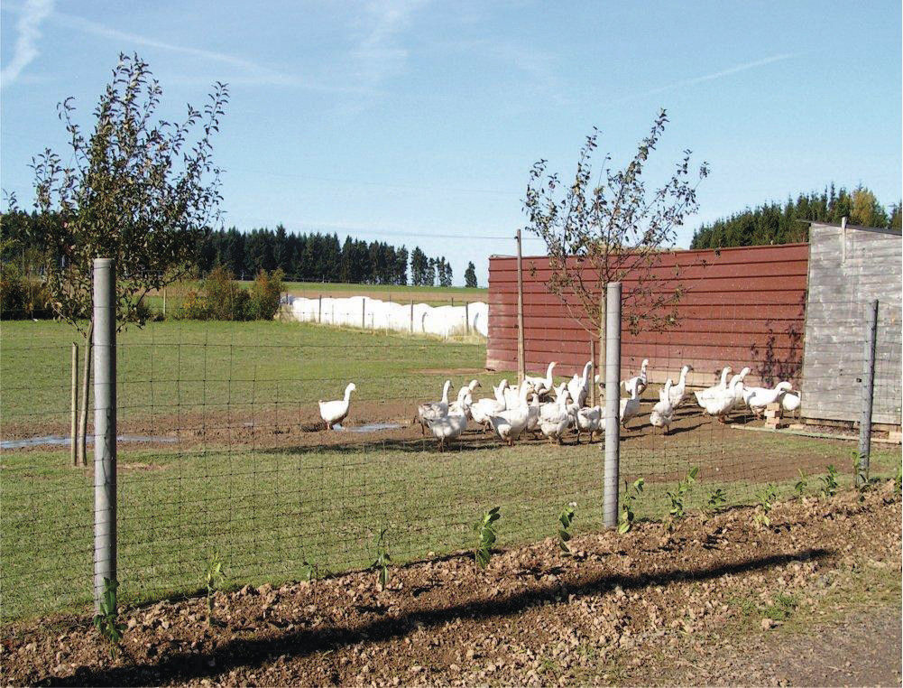 Wildgatter mit Recyclingpfosten_1