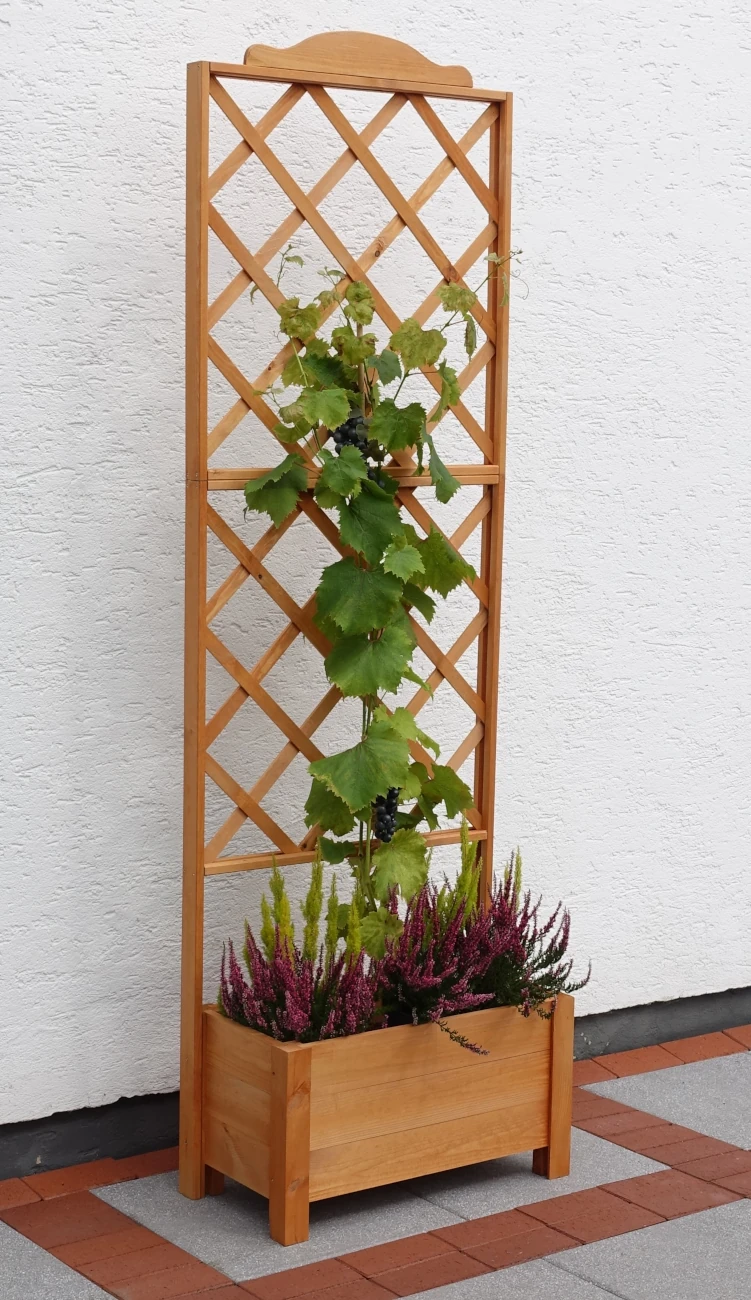 Rankkasten-Botanica-210cm-1.webp