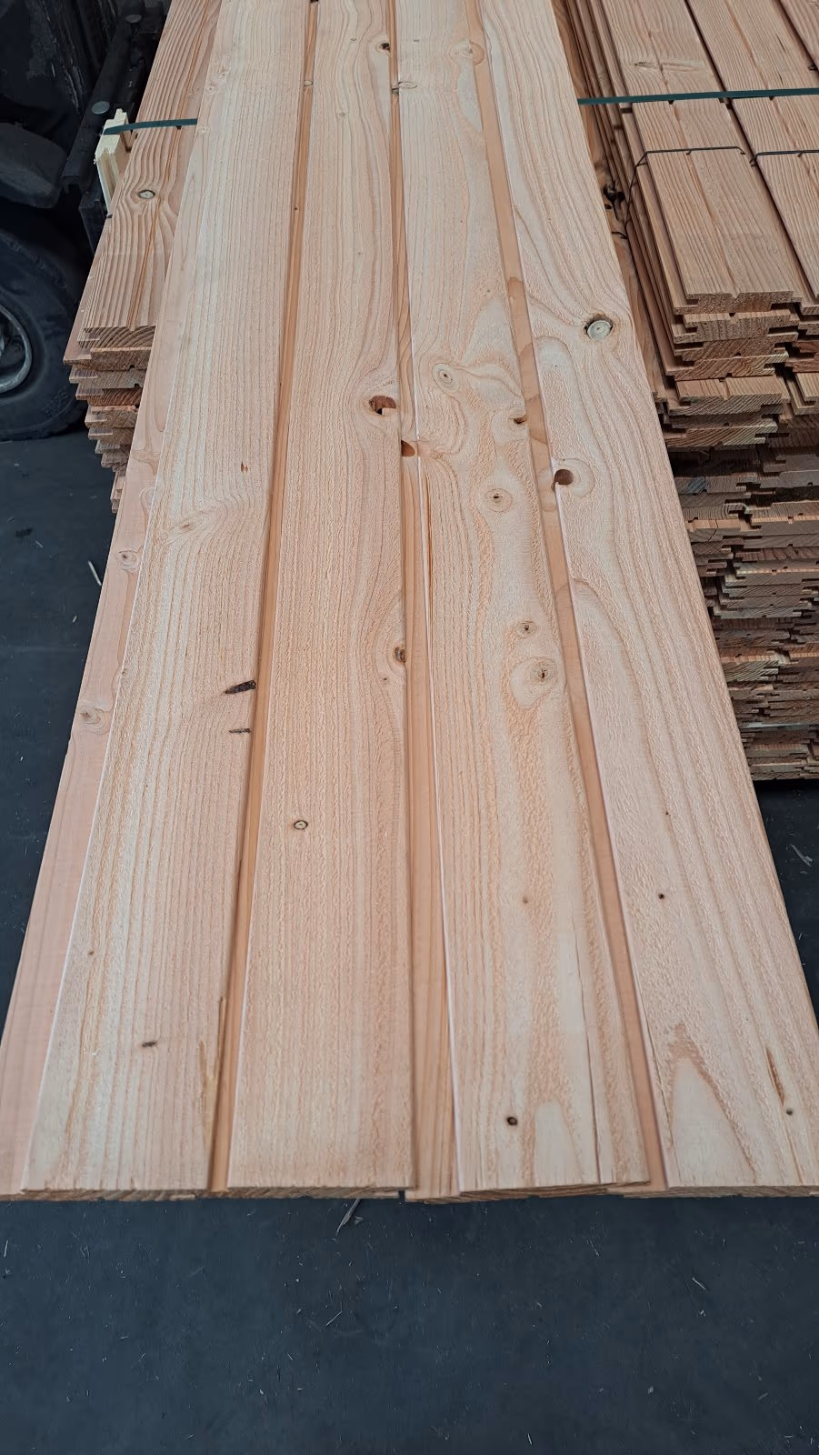 Douglasie Softline-Profilholz 21x119 mm